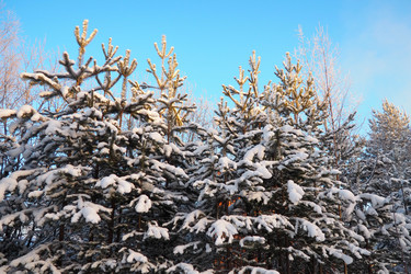 Similar image 21705780