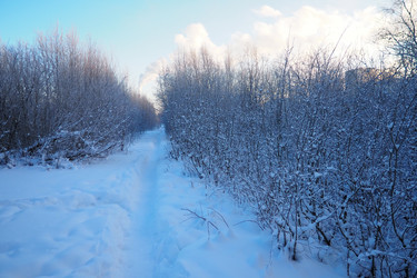 Similar image 21705782