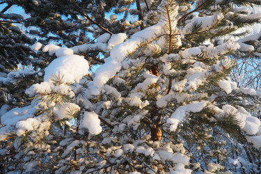 Similar image 21705783