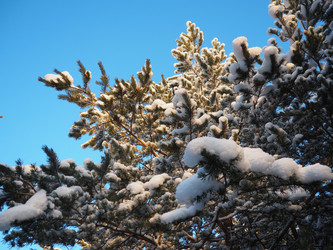 Similar image 21705784