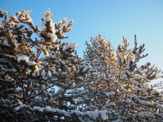 Similar image 21705786