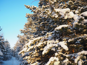 Similar image 21705789