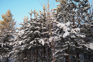 Similar image 21705795