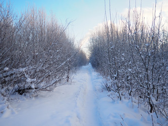 Similar image 21705796