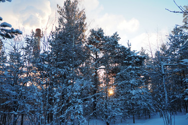 Similar image 21705797