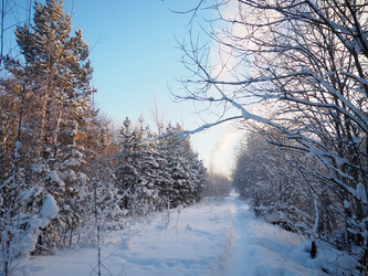 Similar image 21705799