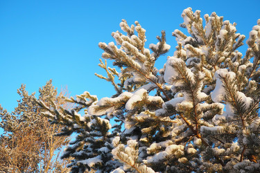 Similar image 21705804