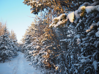 Similar image 21705805