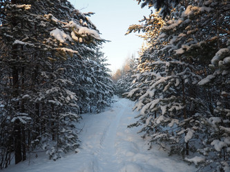 Similar image 21705806