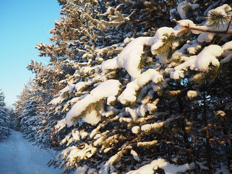 Similar image 21705808