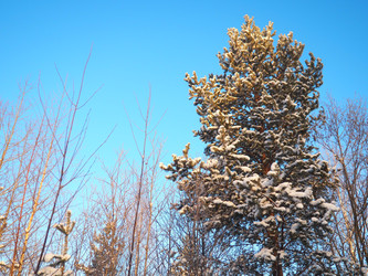 Similar image 21705811