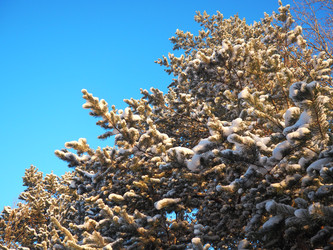 Similar image 21705816