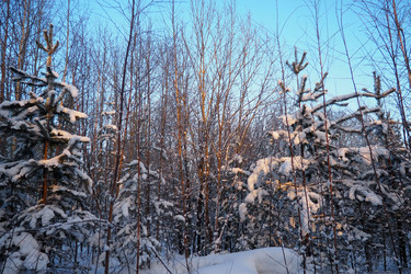 Similar image 21705817