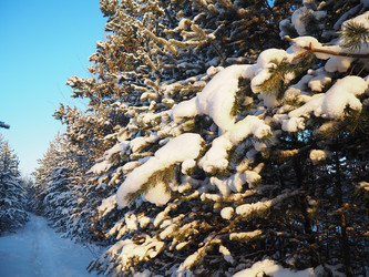 Similar image 21705818