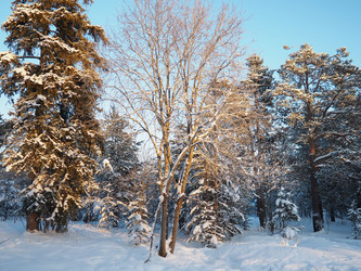 Similar image 21705819