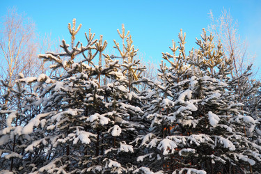 Similar image 21705822