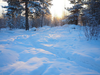 Similar image 21705824