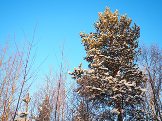 Similar image 21705825