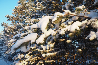 Similar image 21705831