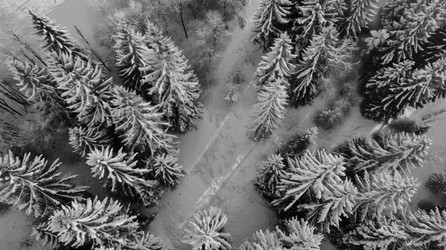 Similar image 21705560