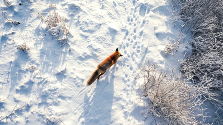 Similar image 21705561