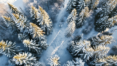 Similar image 21705563