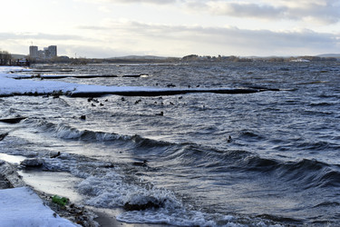 Similar image 21705137