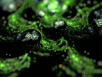 Similar image 21706301