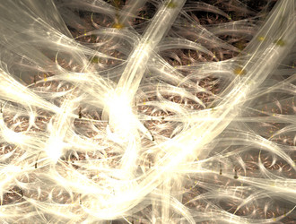 Similar image 21706305