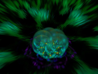 Similar image 21706306