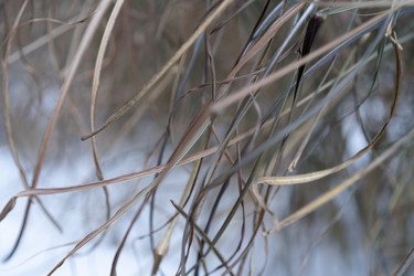 Similar image 21705576