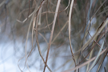 Similar image 21705577