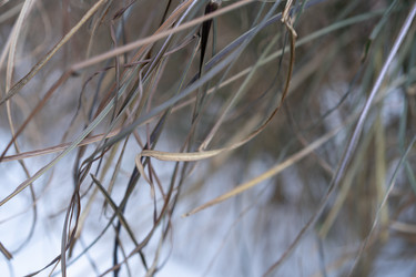 Similar image 21705578