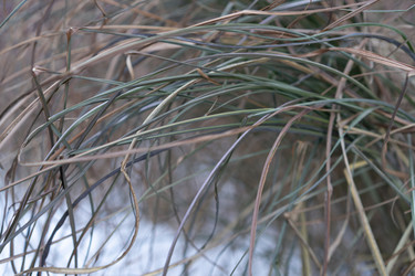 Similar image 21705579