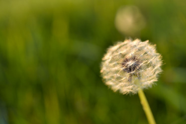 Similar image 21705151