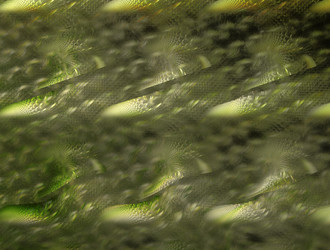 Similar image 21705957