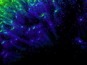 Similar image 21705958