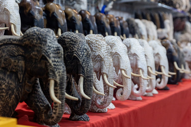 Similar image 21705581