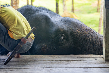 Similar image 21705591