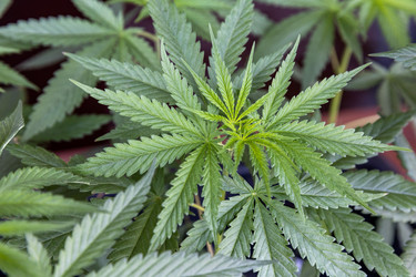 Similar image 21705595