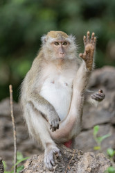 Similar image 21705605