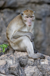 Similar image 21705607