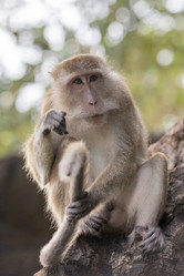 Similar image 21705609