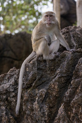 Similar image 21705610