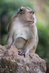 Similar image 21705611