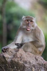 Similar image 21705612