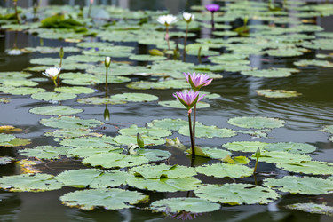 Similar image 21705613