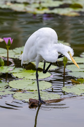 Similar image 21705614