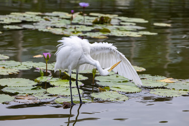 Similar image 21705725