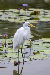 Similar image 21705727